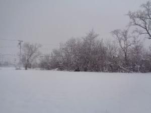 MLS #20230006876 image #0