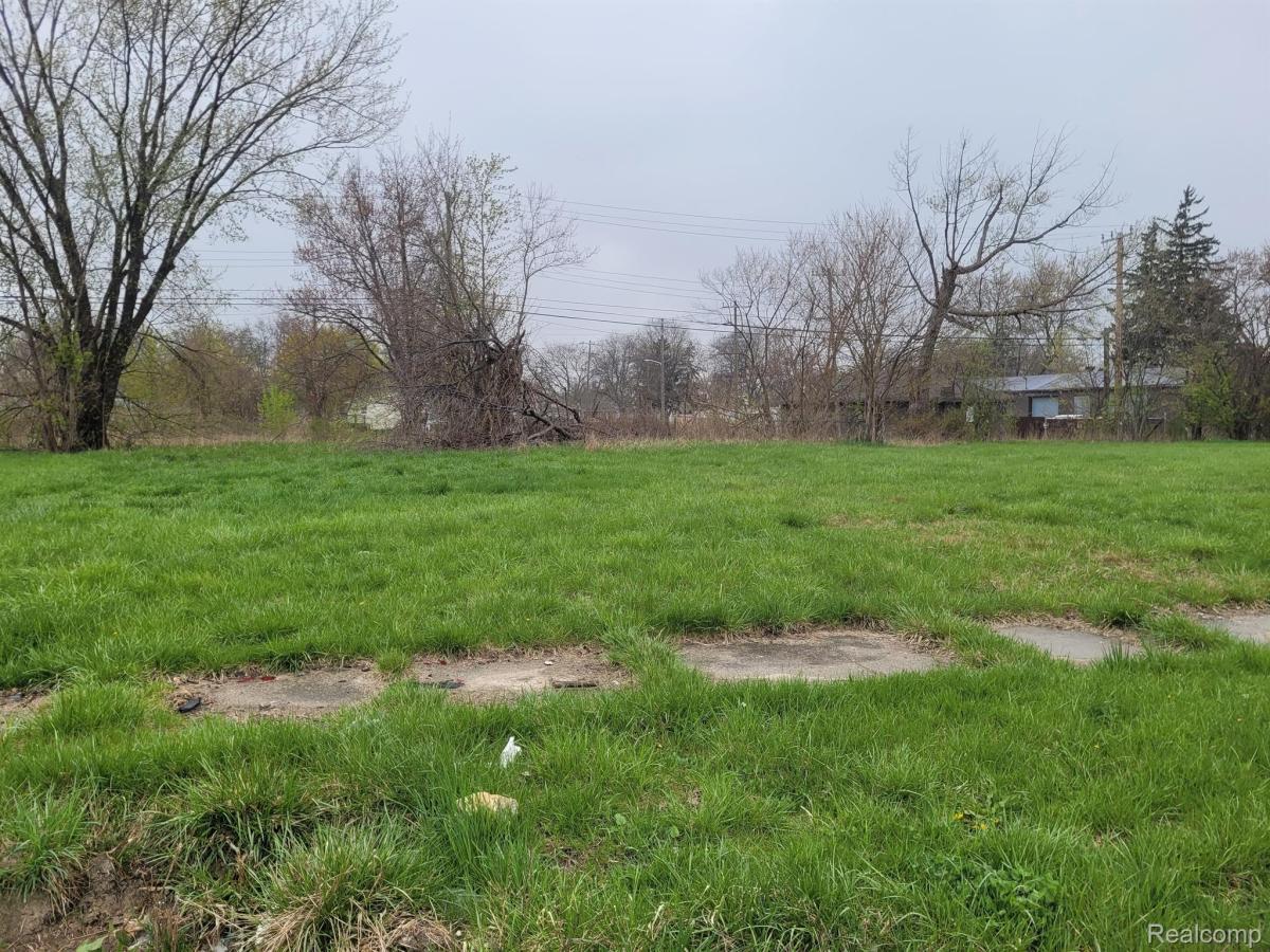 MLS #20230030939 image #0