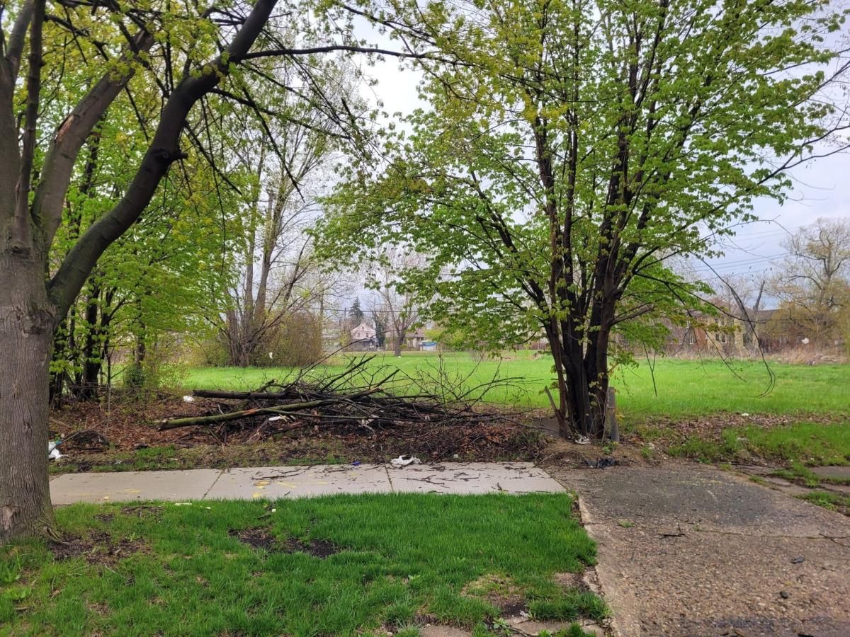 MLS #20230031065 image #0