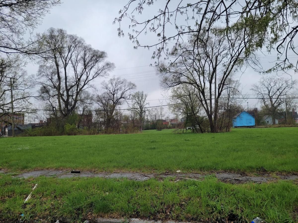 MLS #20230031126 image #0