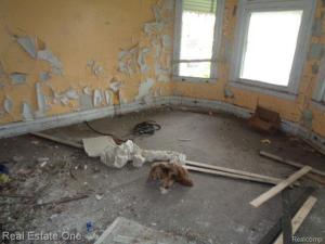 MLS #20230087159 image #0