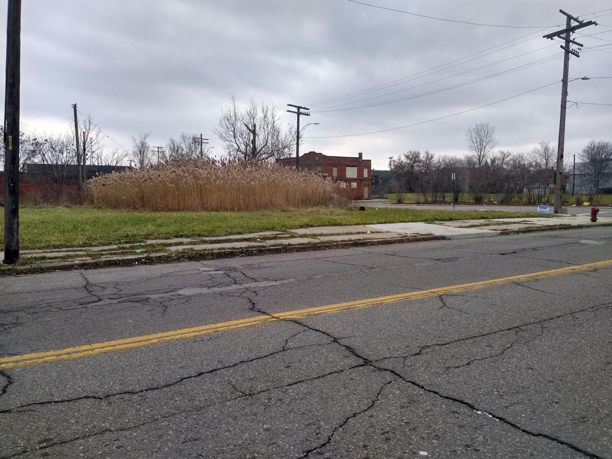 MLS #20240009828 image #0