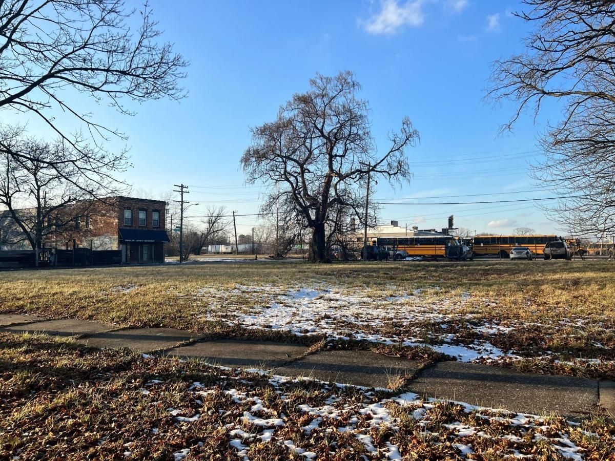 MLS #20240024509 image #0