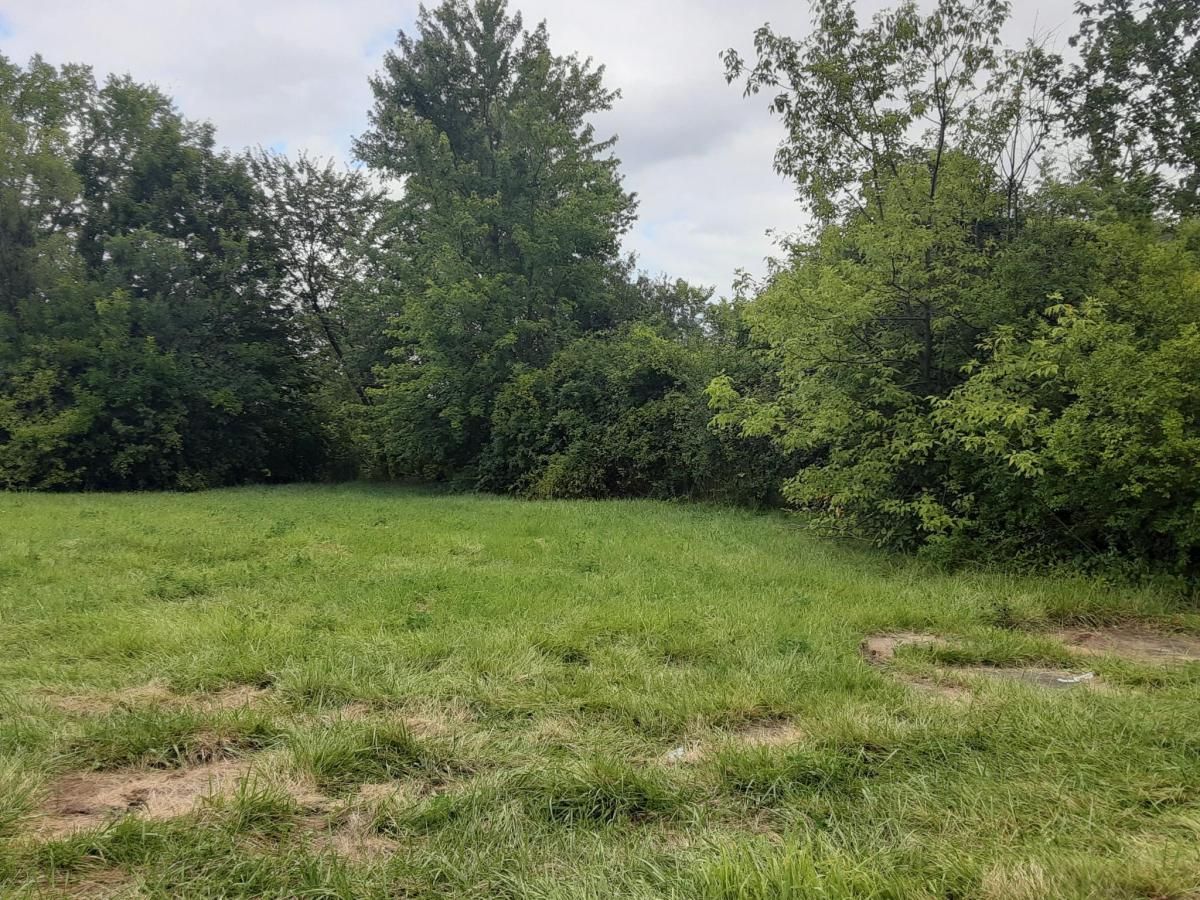 MLS #20240061452 image #0