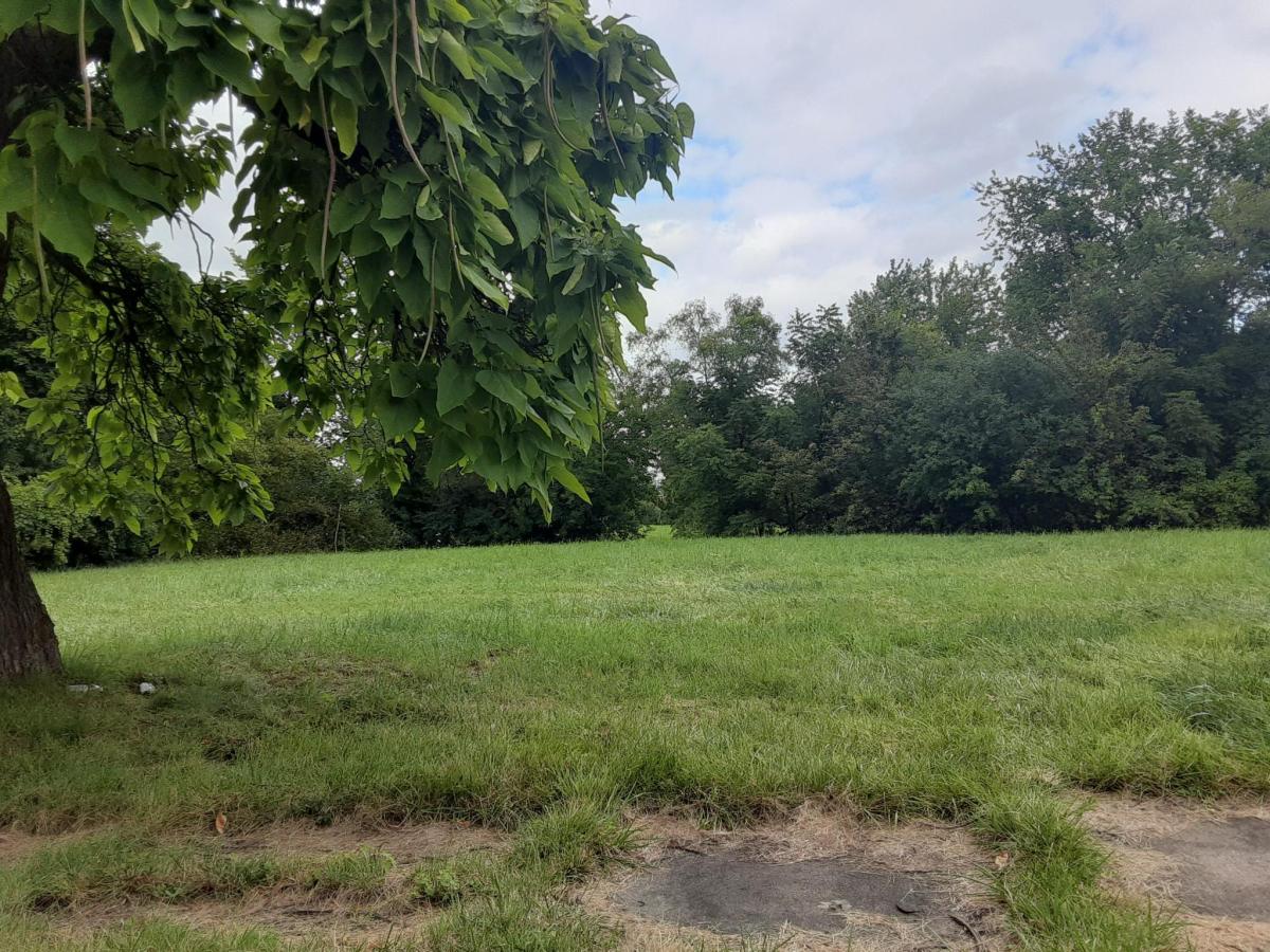 MLS #20240061506 image #0