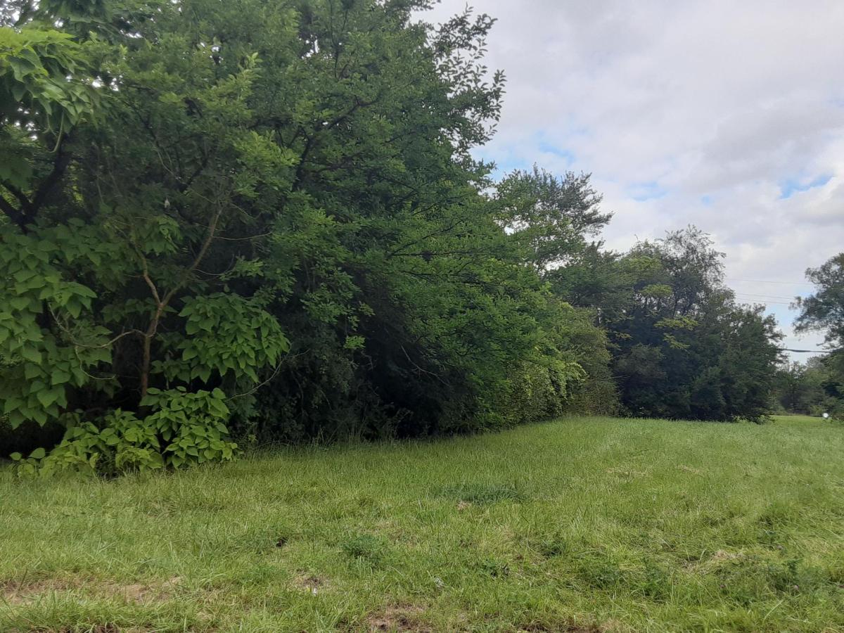 MLS #20240061522 image #0