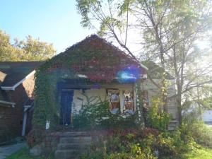 MLS #20240079124 image #0