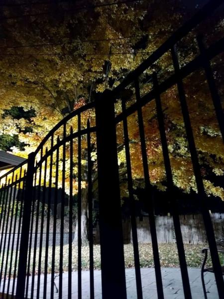 MLS #20240091324 image #0