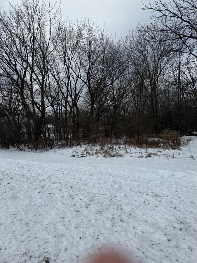 MLS #20250005153 image #0
