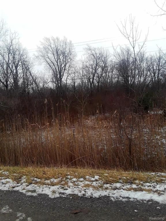 MLS #20250025026 image #0