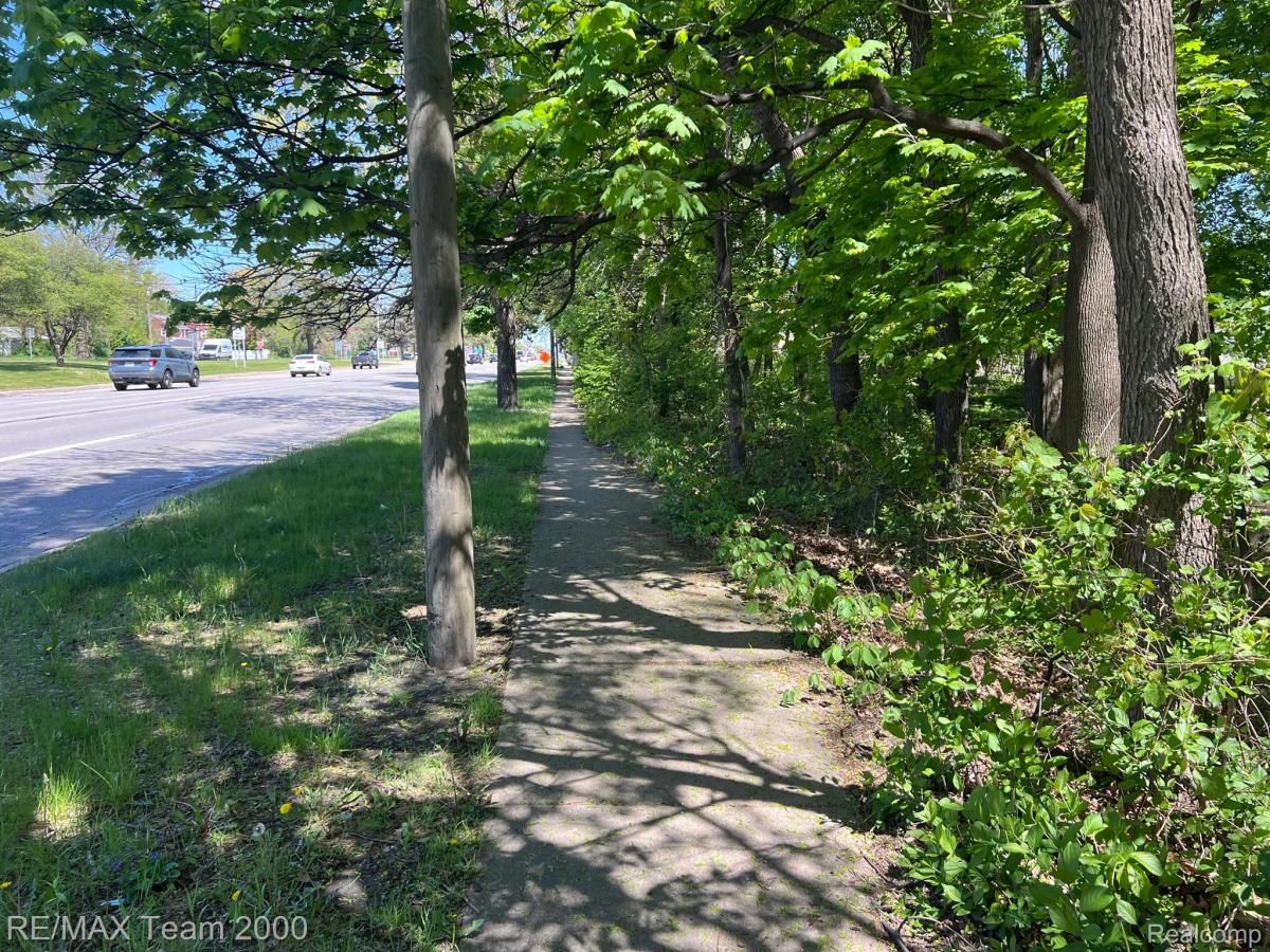 MLS #20250033892 image #0