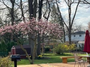 MLS #20251037388 image #0