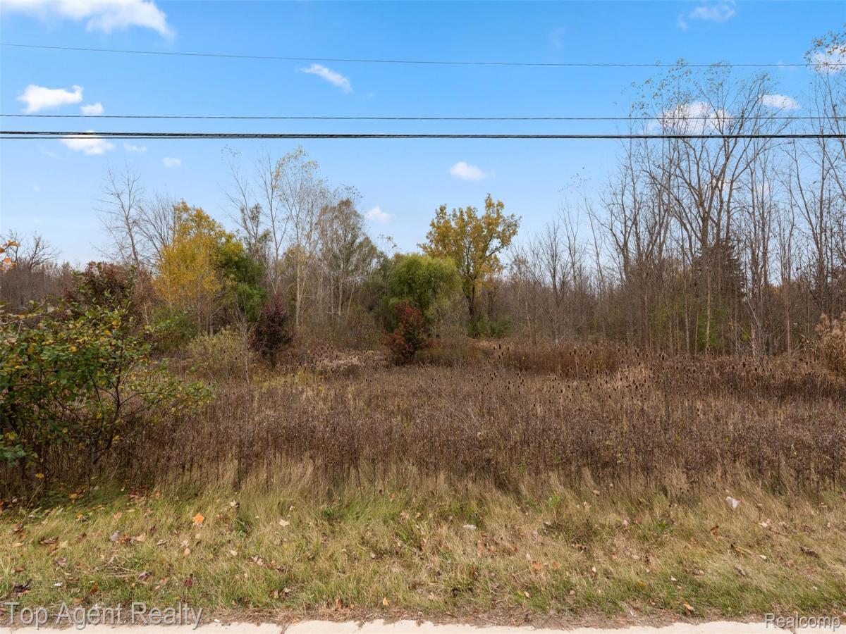 MLS #20251051325 image #0