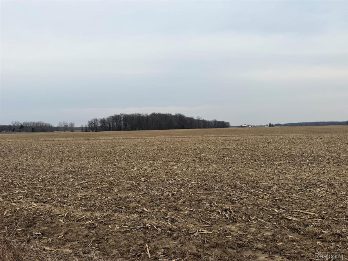 MLS #20261021162 image #0