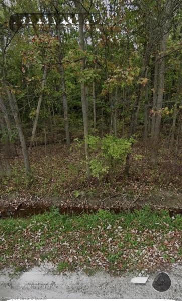 MLS #20261027263 image #0