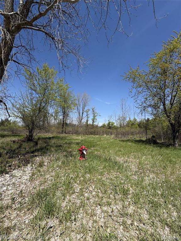 MLS #20261029445 image #0