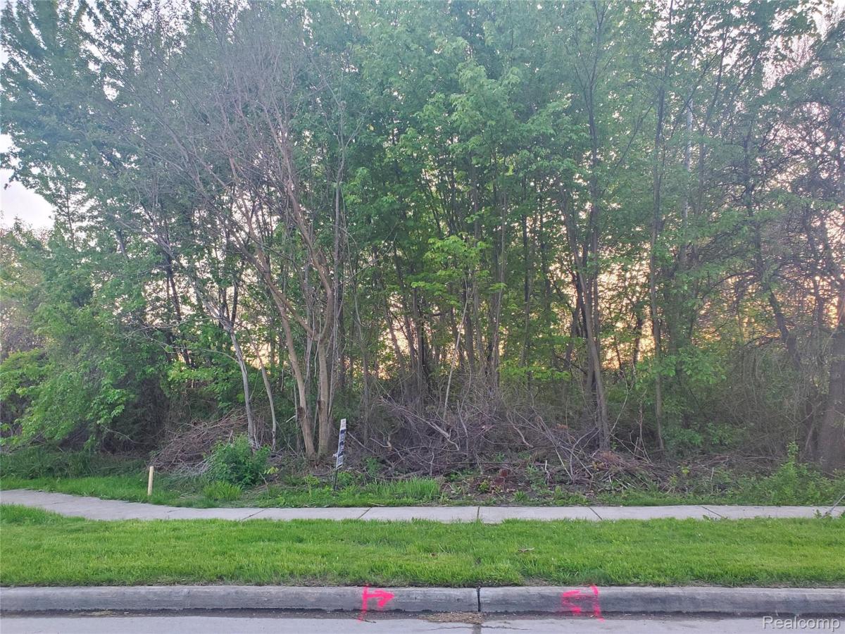 MLS #20261032589 image #0
