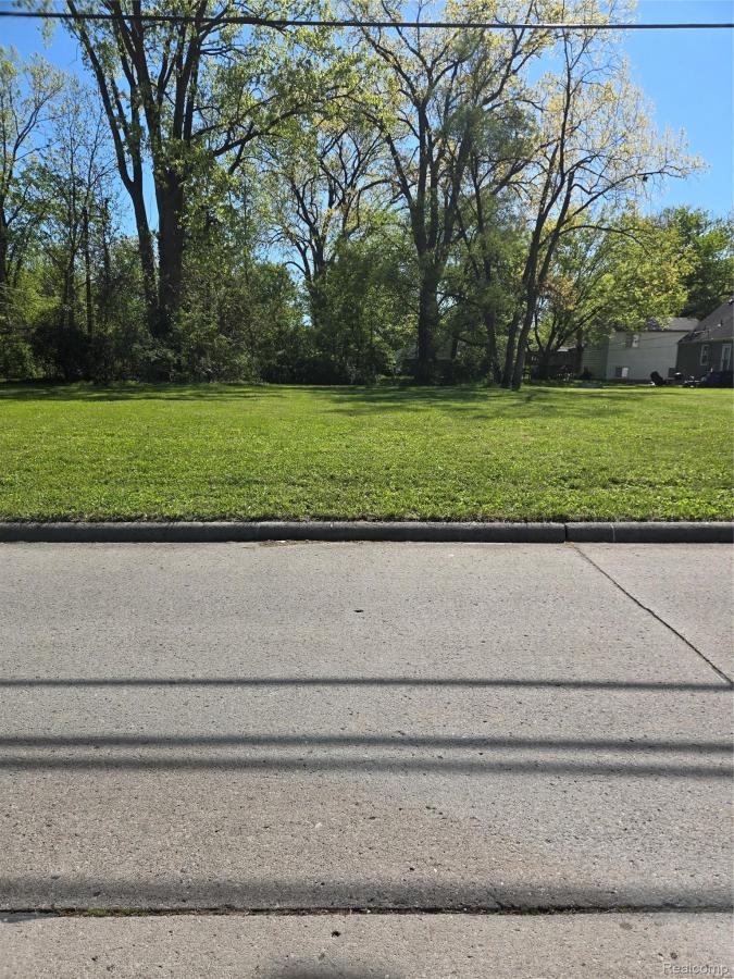 MLS #20261035250 image #0