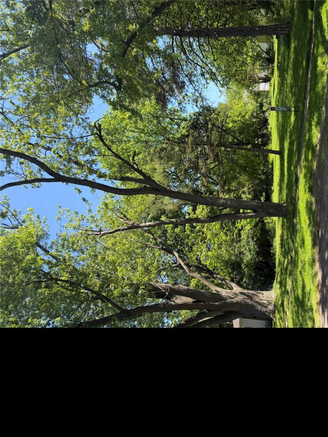 MLS #20261038975 image #0