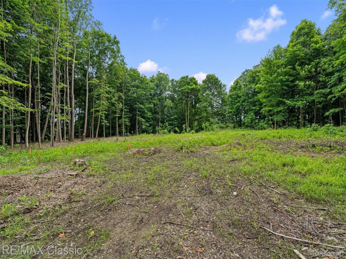 MLS #20261040119 image #0