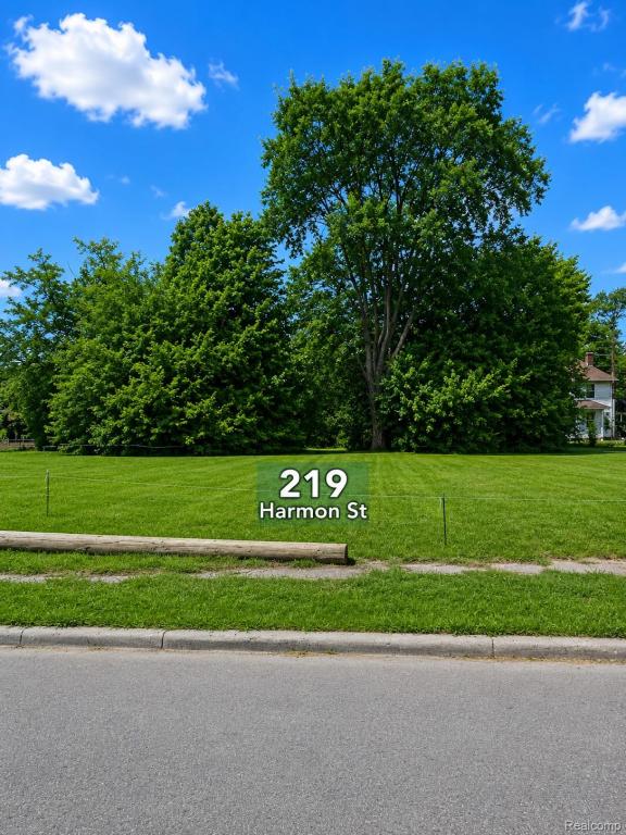 MLS #20261045418 image #0