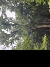 MLS #20261048298 image #0
