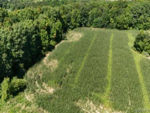 broker reciprocity