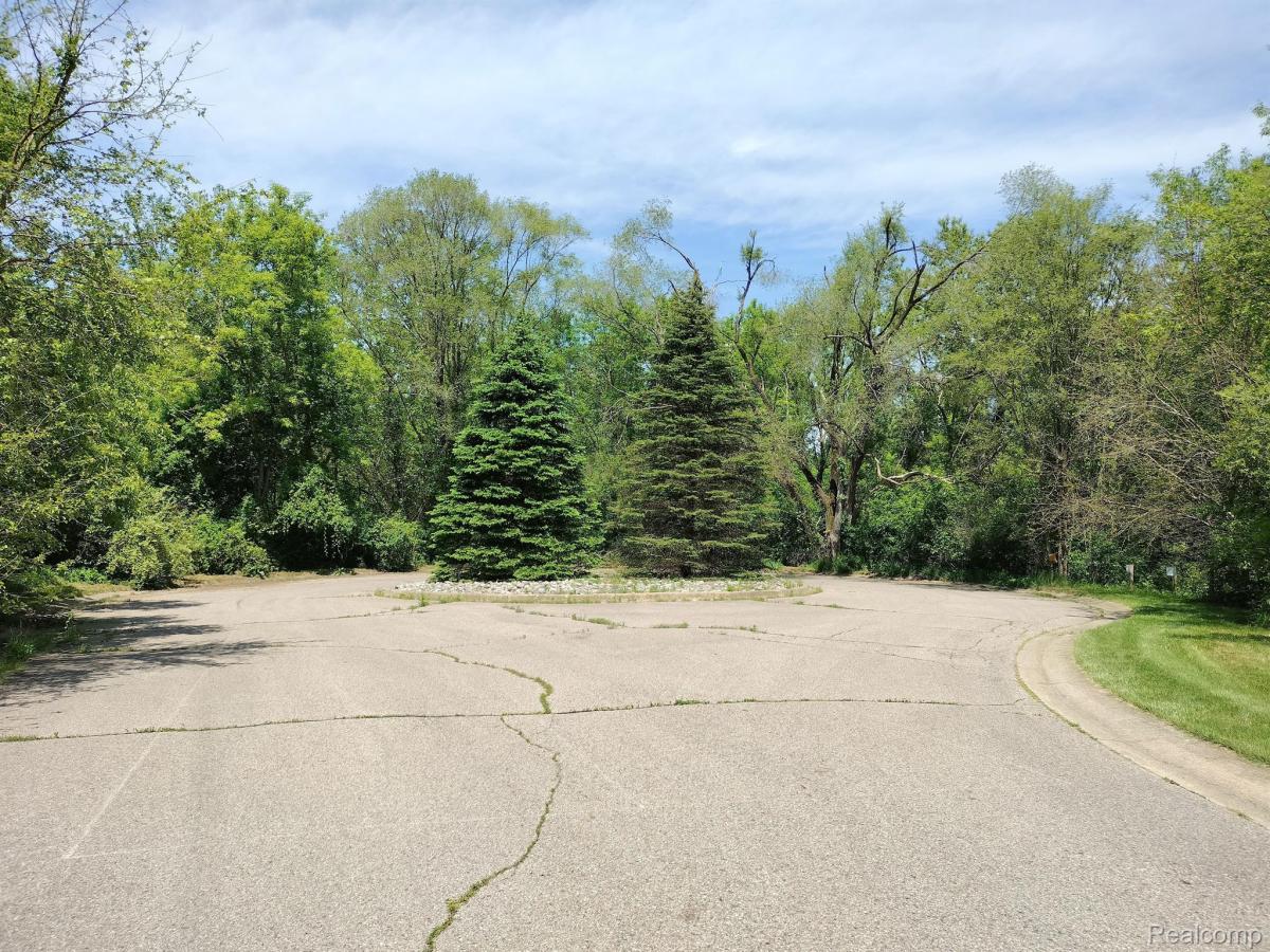MLS #20261051802 image #0