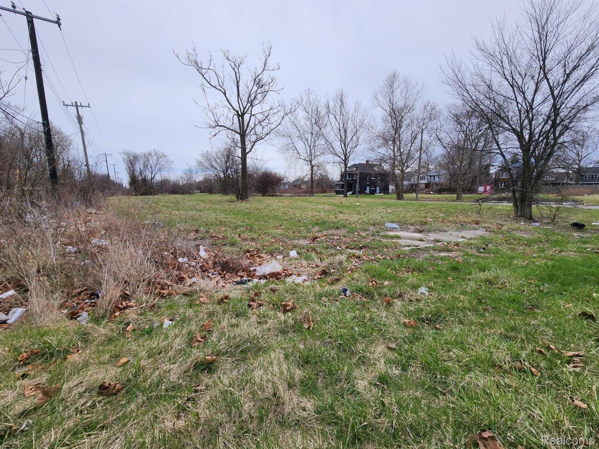 MLS #20261056190 image #0