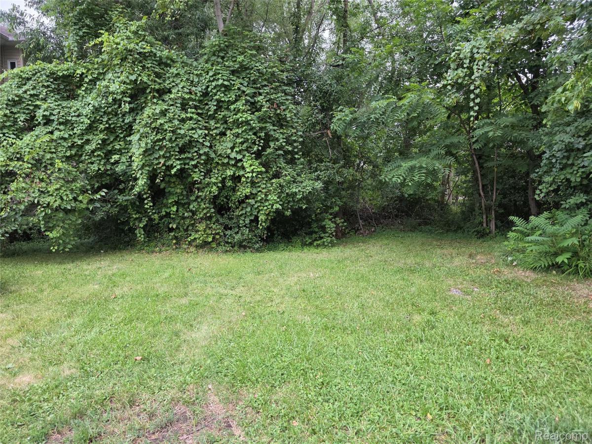 MLS #20261061306 image #0