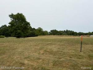 MLS #20261062704 image #0