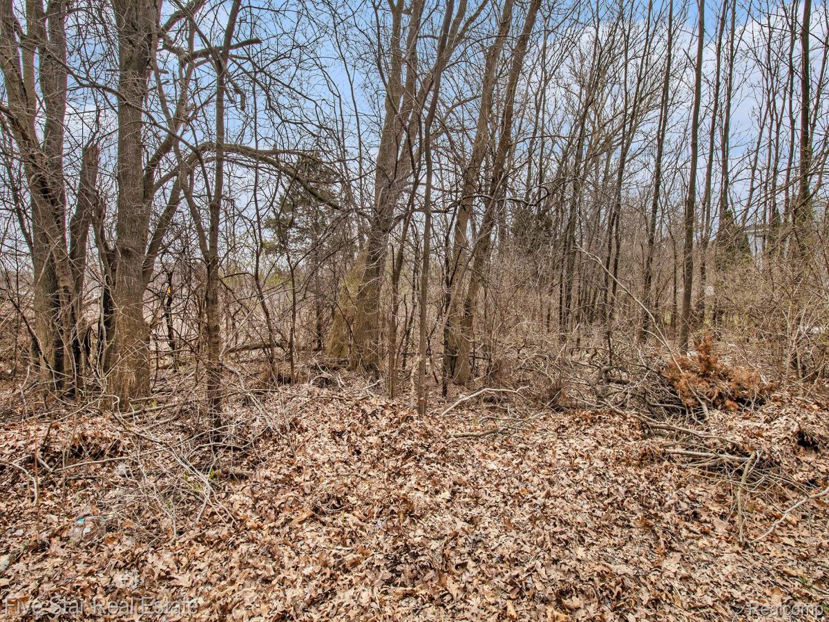 MLS #20261067400 image #0