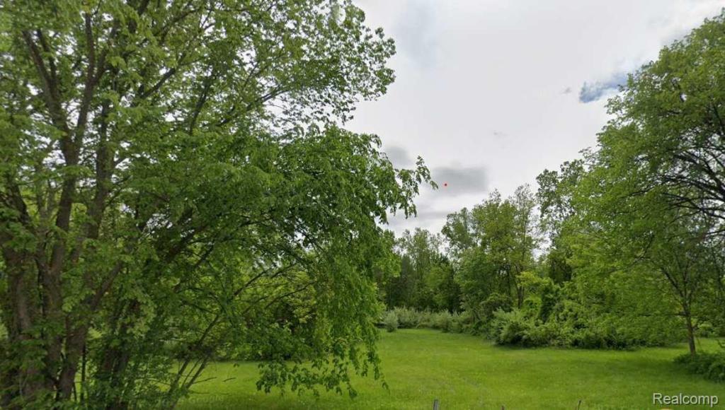 MLS #20261077136 image #0