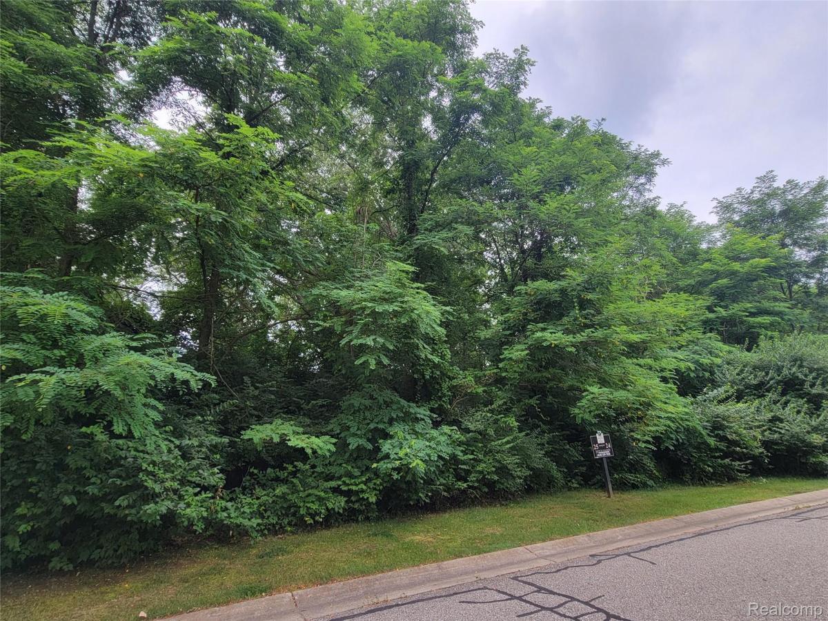 MLS #213068035 image #0