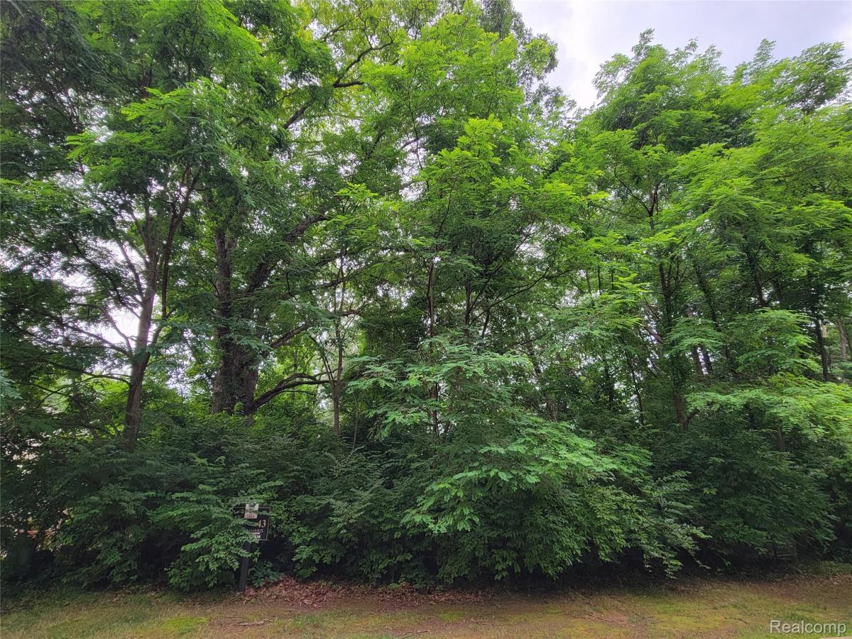 MLS #213069491 image #0