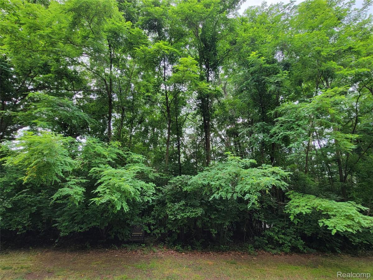 MLS #213069496 image #0