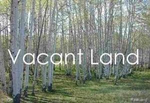 MLS #219001314 image #0