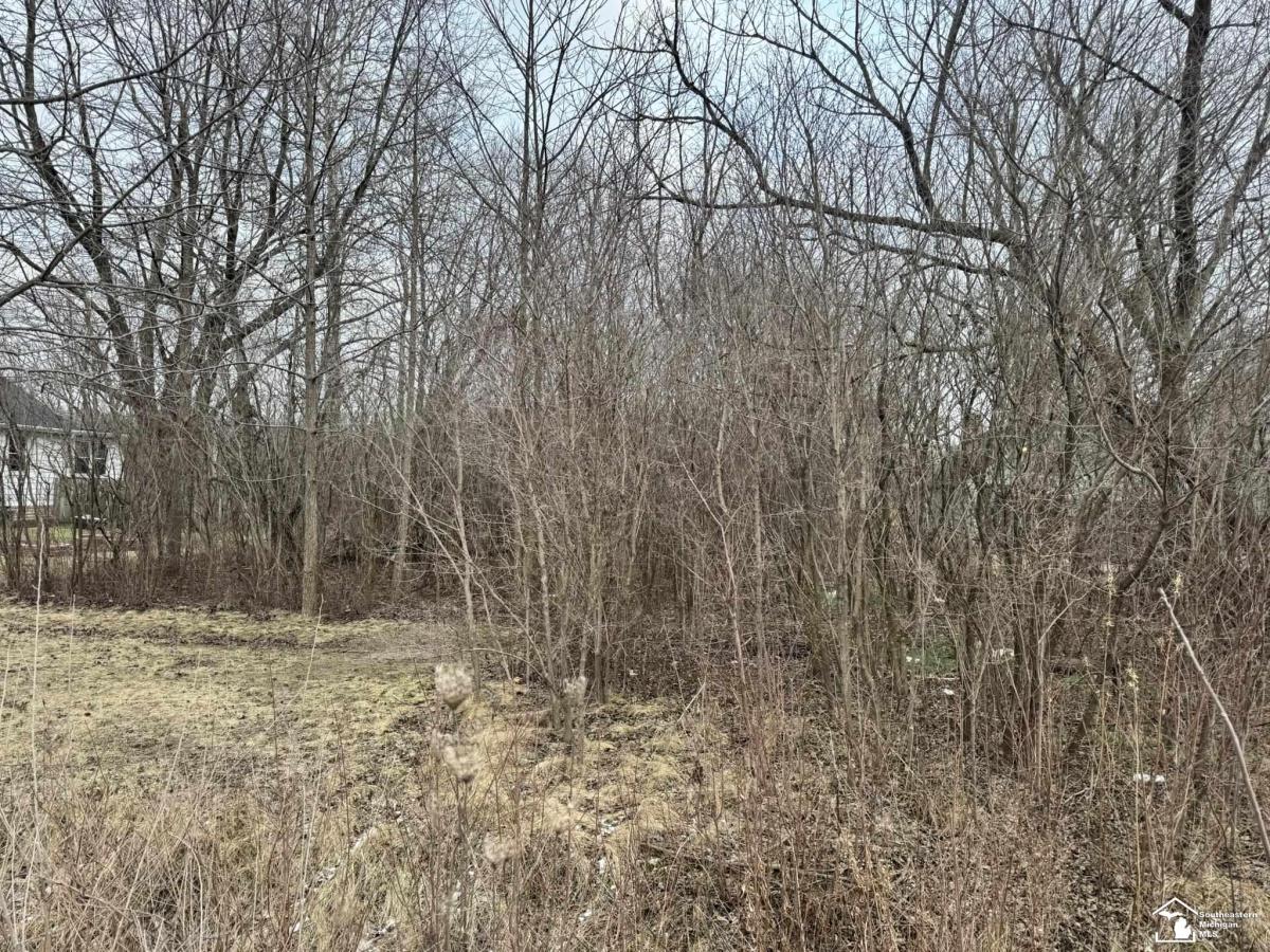 MLS #57050197002 image #0