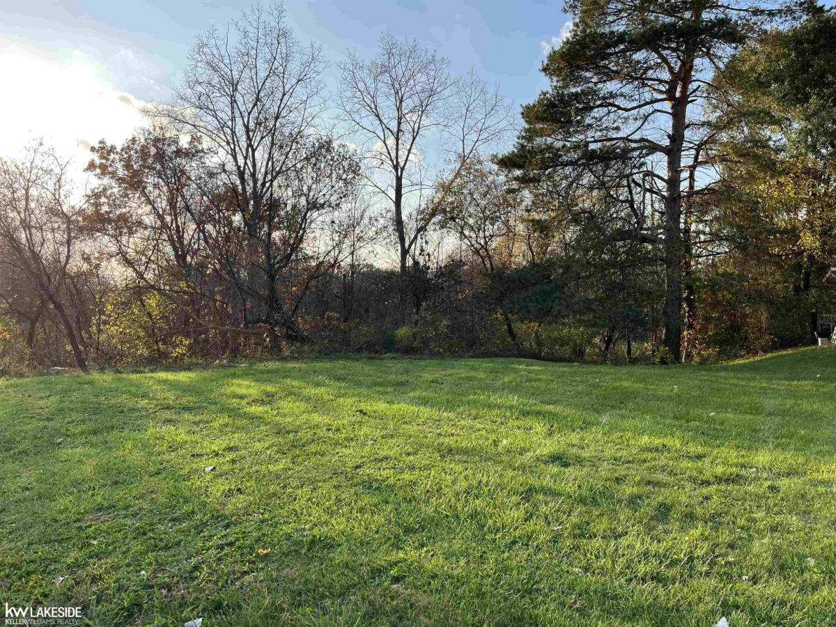 MLS #58050108589 image #0