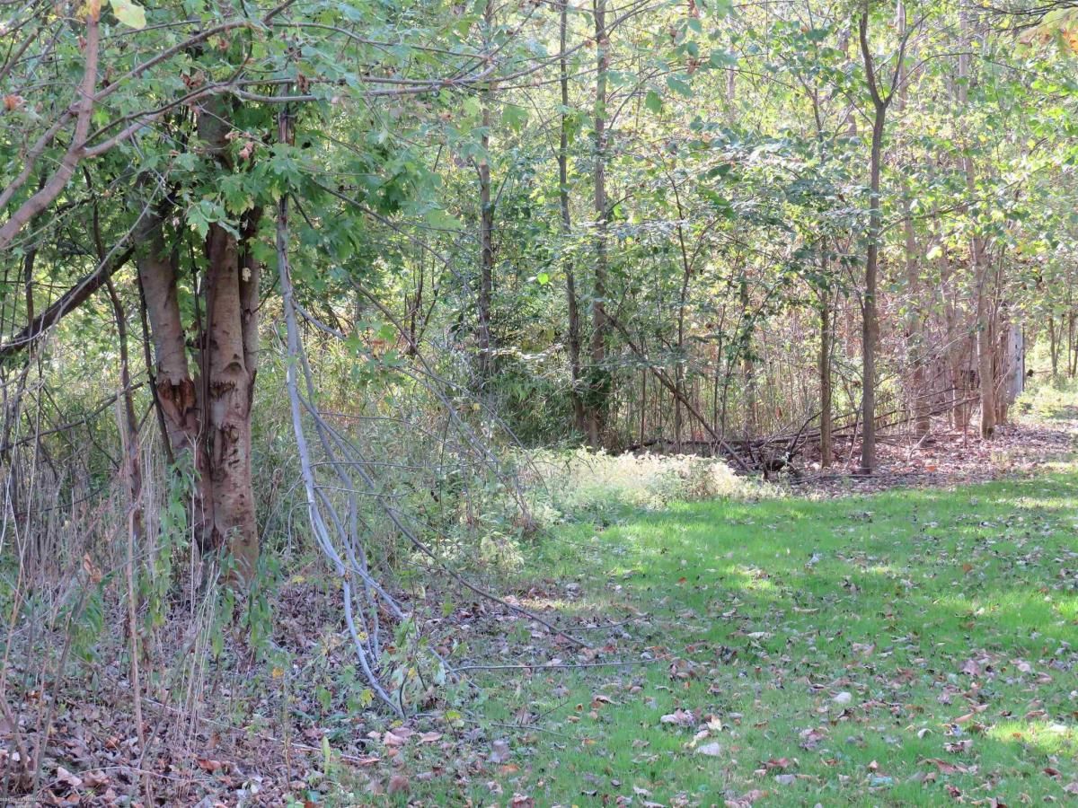 MLS #58050190590 image #0