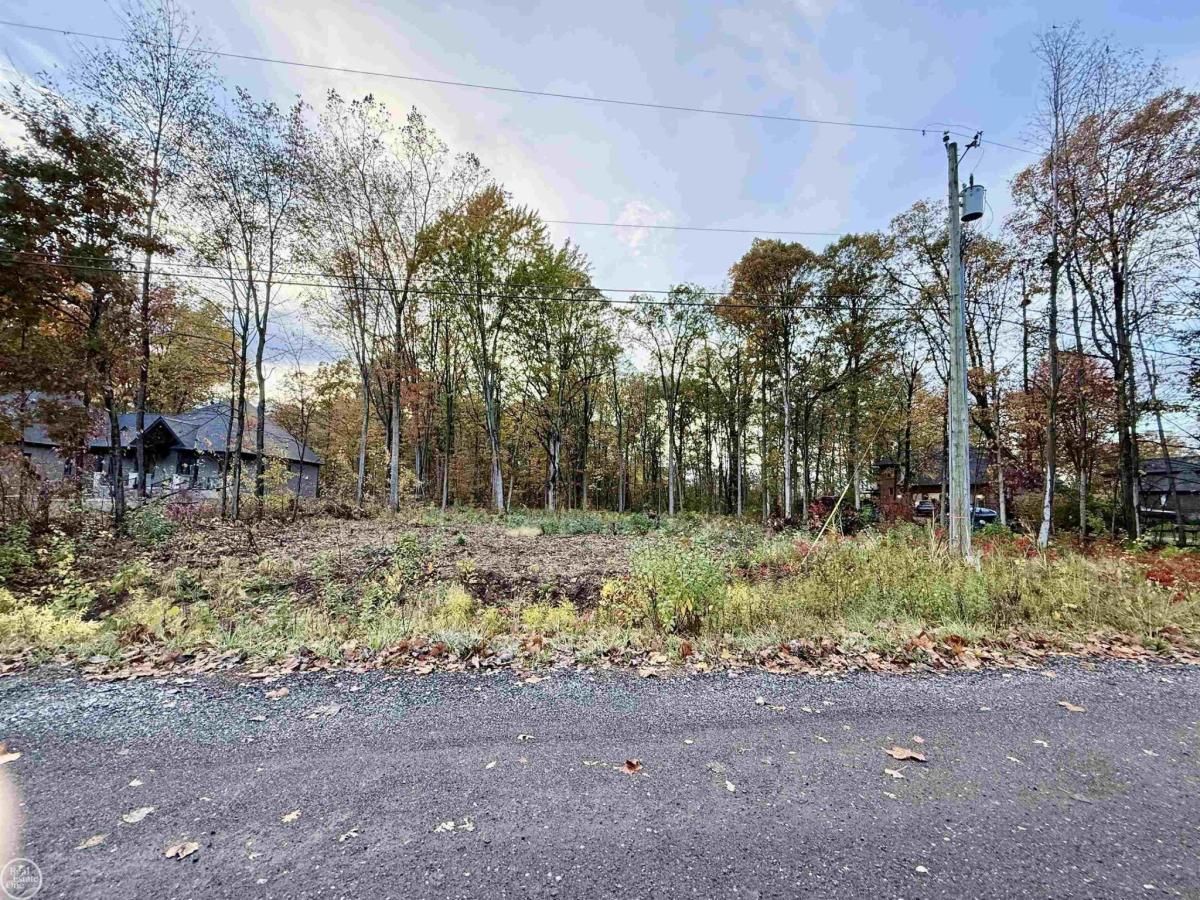 MLS #58050192517 image #0