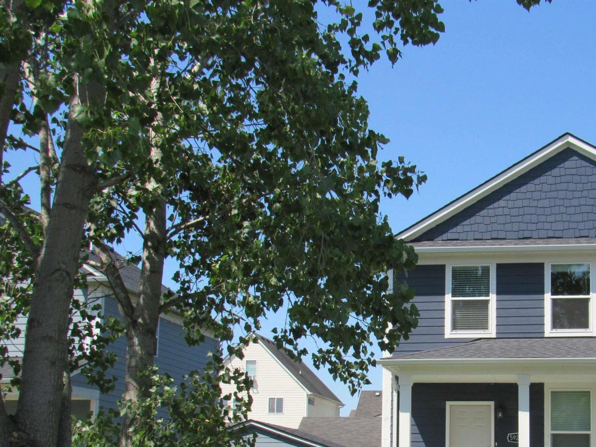MLS #58050213620 image #0