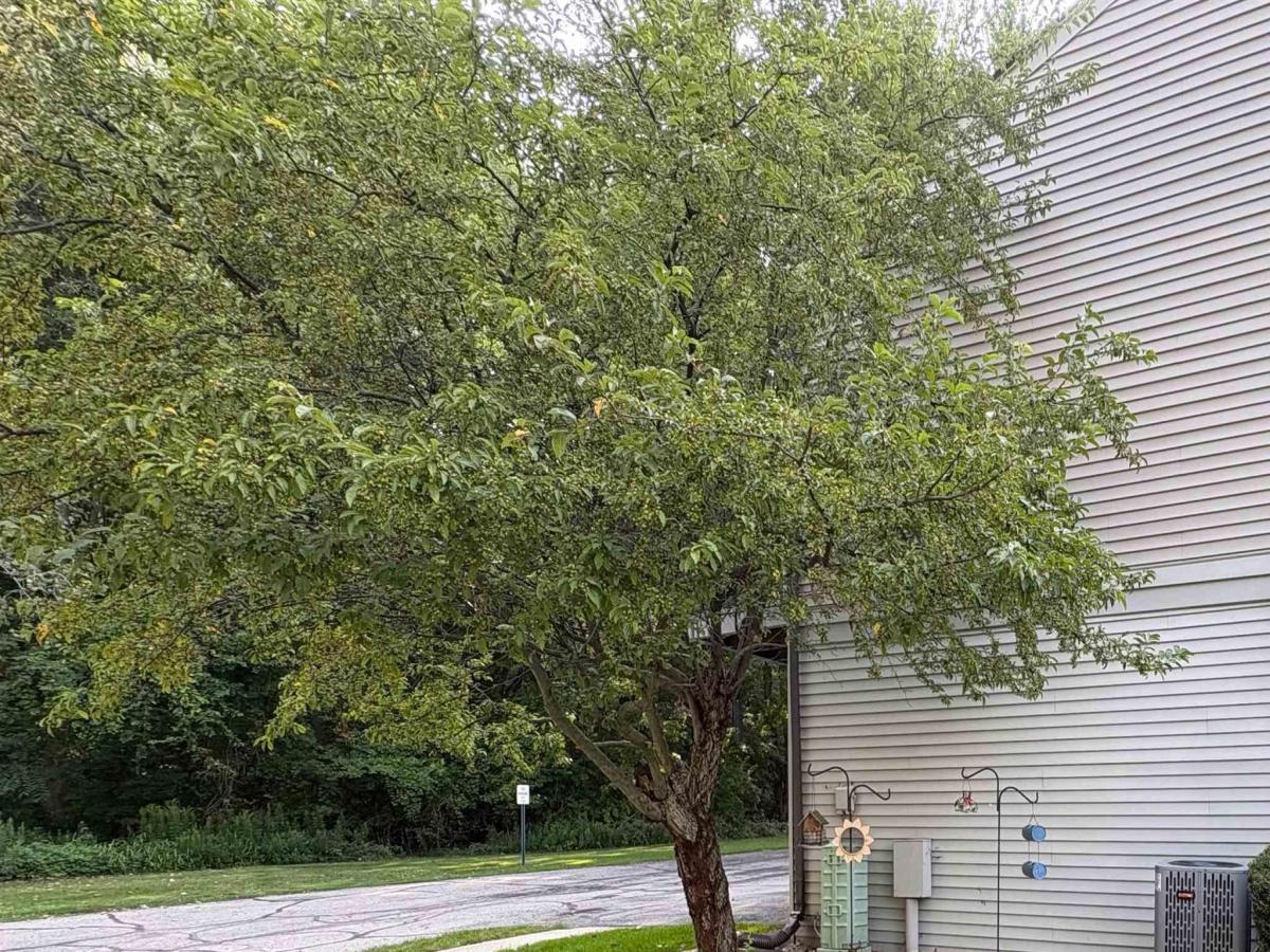 MLS #58050218645 image #0
