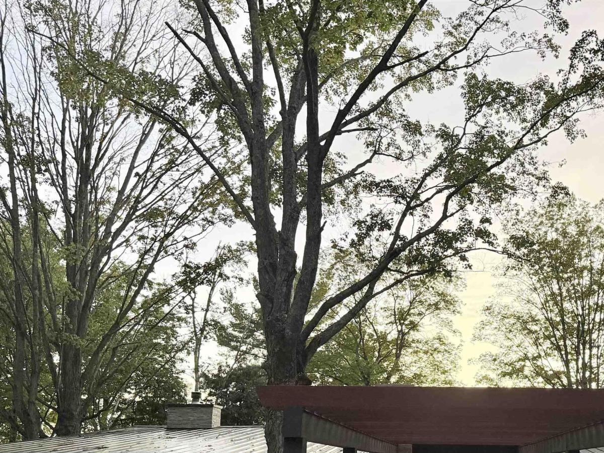 MLS #58050222722 image #0