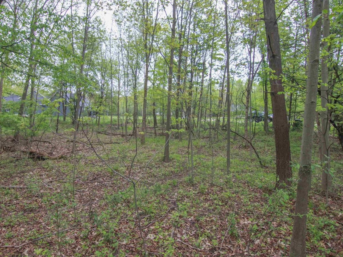 MLS #78080046089 image #0