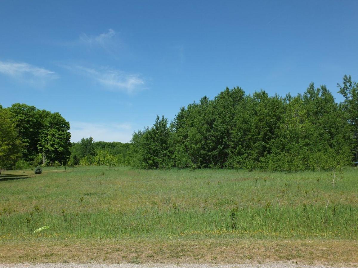 MLS #78080068070 image #0