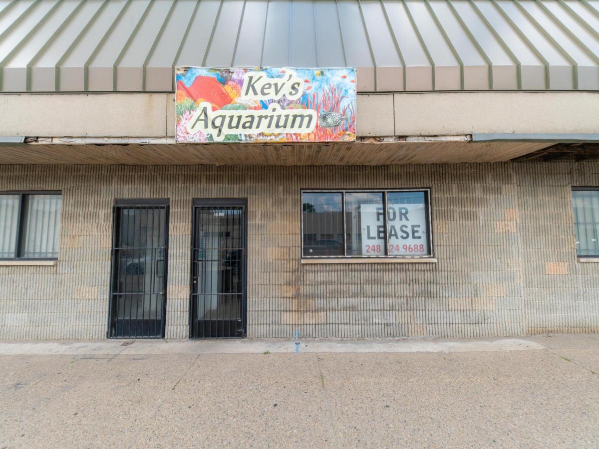 MLS #81024055901 image #0