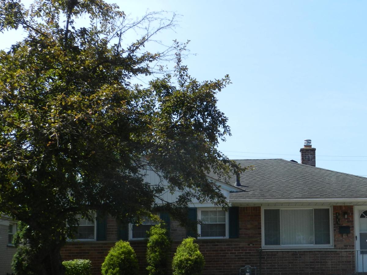 MLS #81026035659 image #0