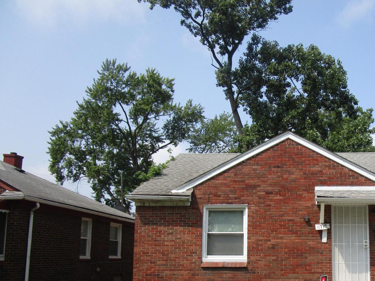 MLS #81026041697 image #0