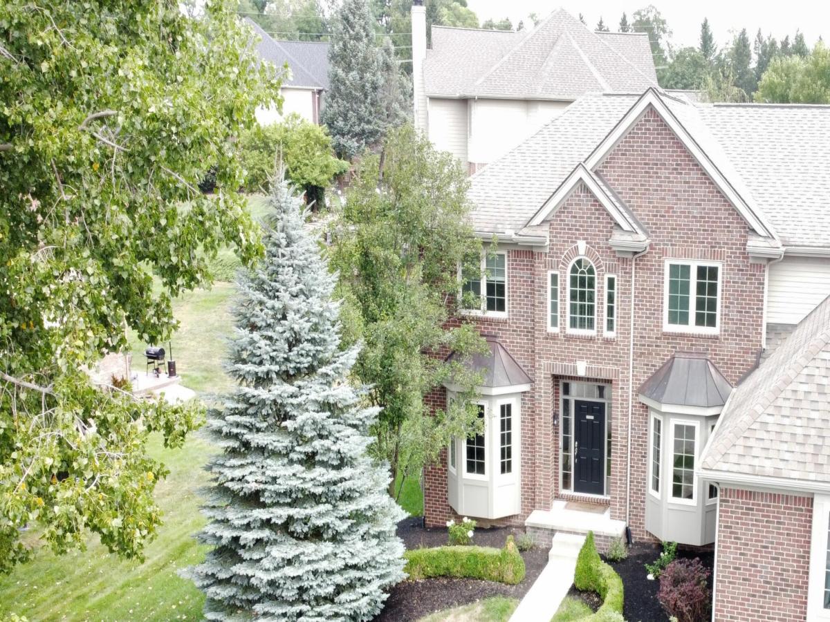 MLS #81026042651 image #0